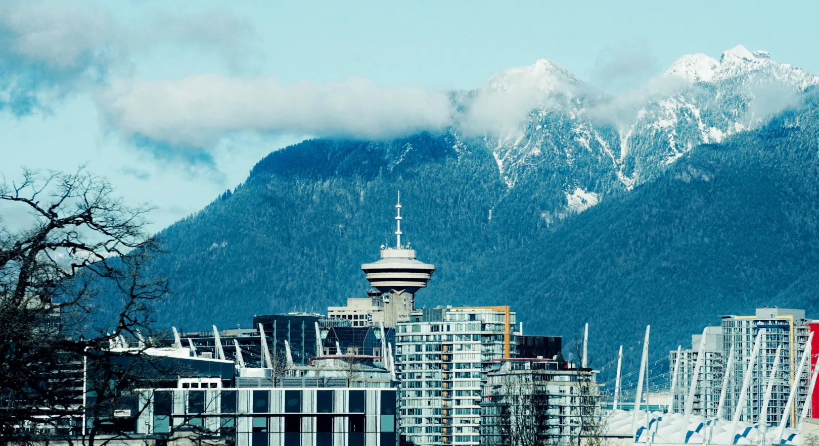 Custom Window Inserts in Vancouver